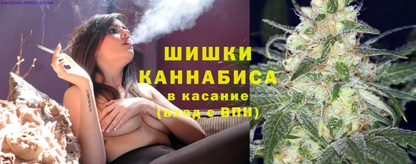 PSILOCYBIN Краснослободск