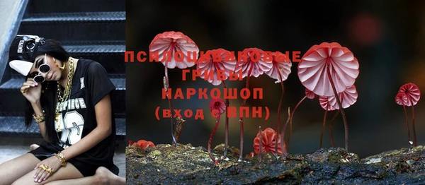 PSILOCYBIN Краснослободск