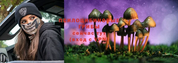 СК Костерёво