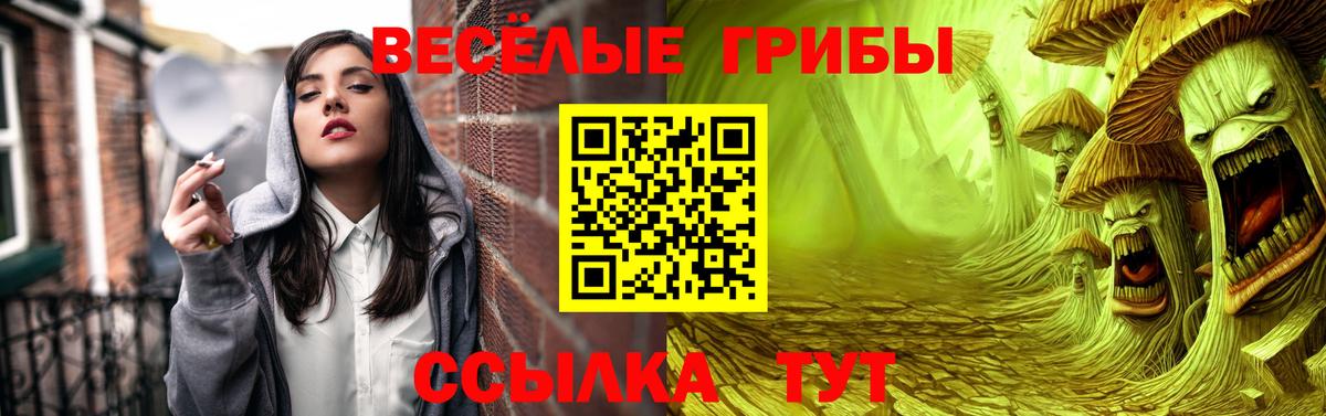 Псилоцибиновые грибы прущие грибы  Вход с VPN  Краснокаменск 